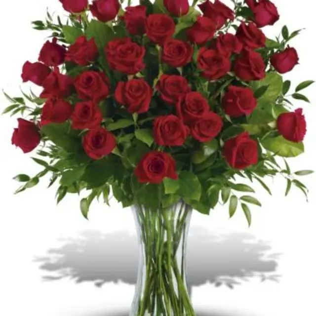 Breathtaking Beauty - 3 Dozen Long Stemmed Roses