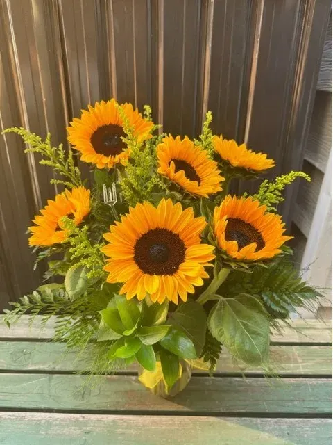 Sunflower Suprise