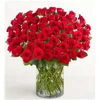 100 Premium Long Stem Red Roses