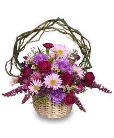 Lovable Lavender