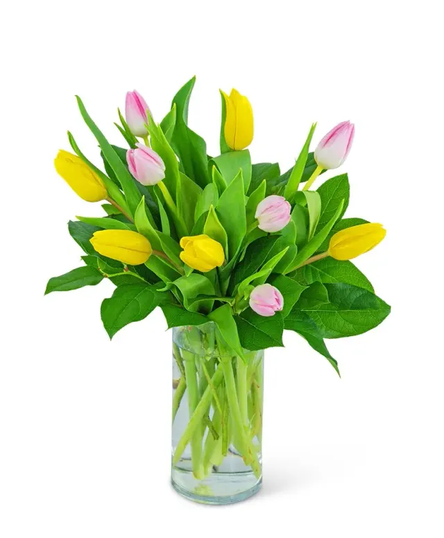Strawberry Lemonade Tulips
