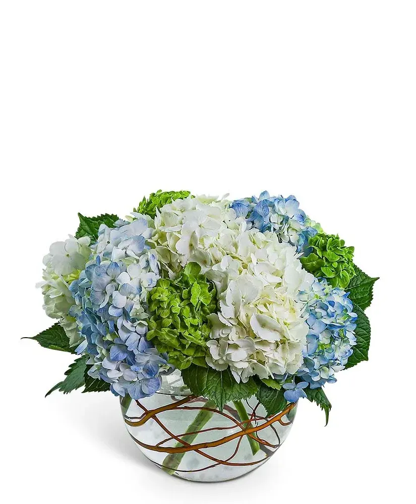 Hydrangea Heaven