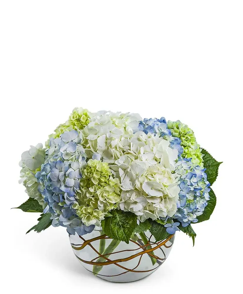 Modern Hydrangea