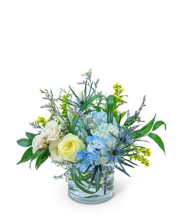 Wilde Blue