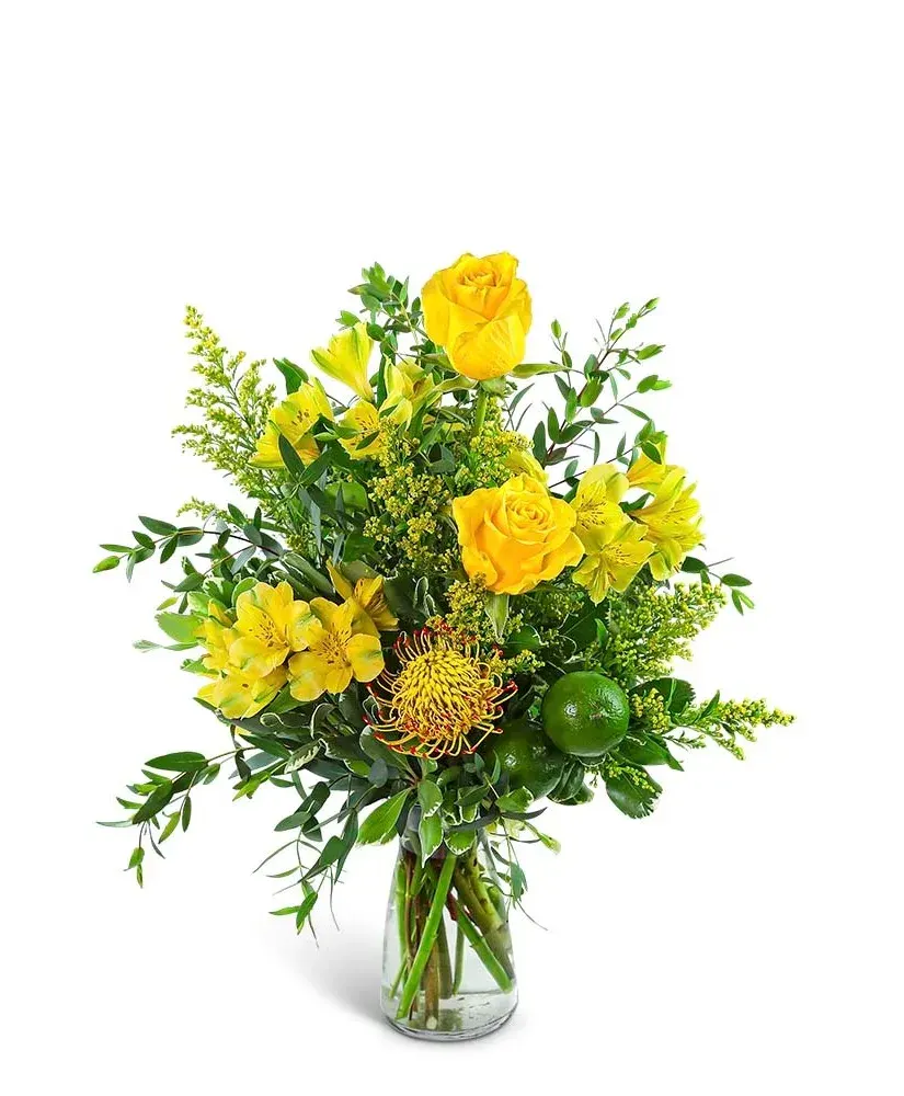 Citrus Zest