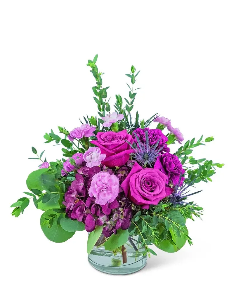 Mod Magenta