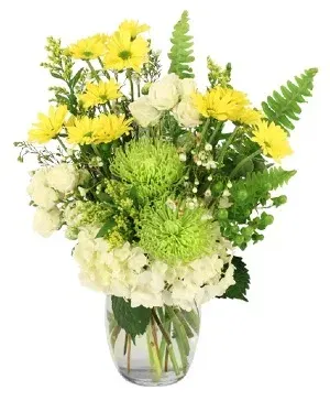 Splendid Citrus