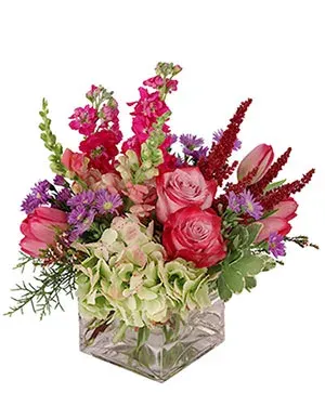 Lively & Luscious