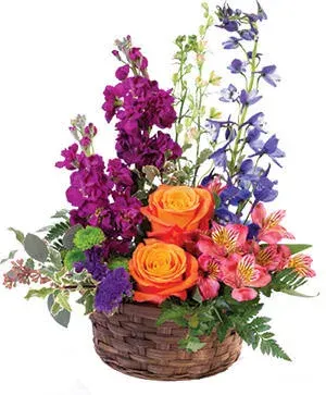 Harmony's Basket