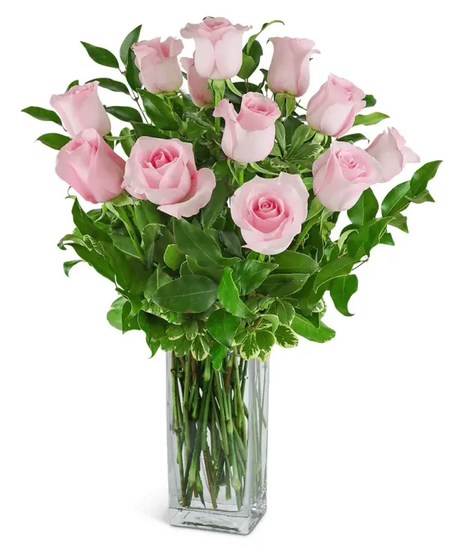 One Dozen Light Pink Roses