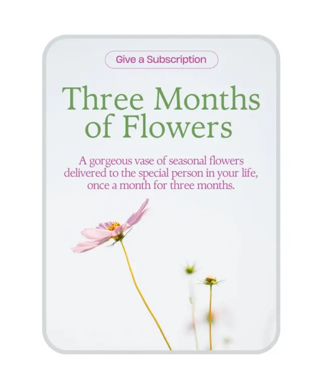 Bouquet of the Month Club (3)