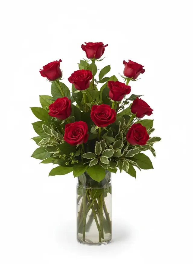 Timeless Twelve Roses