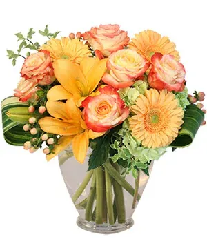 Love Me at Sunset