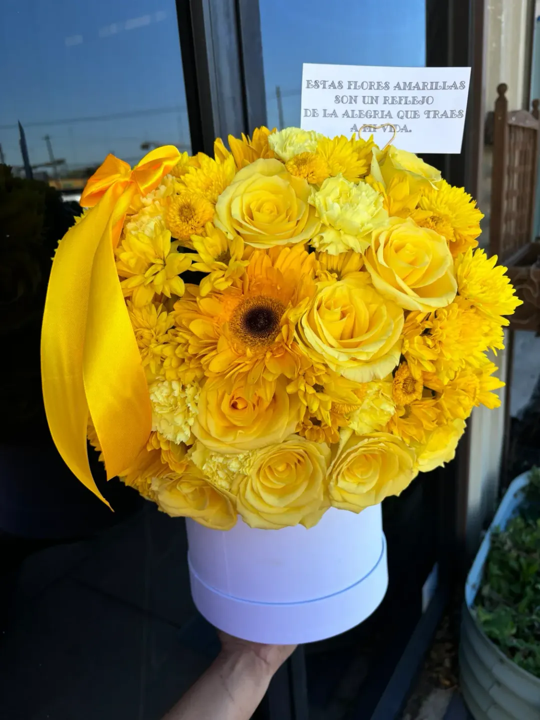 The Brighton Yellow Mix Box