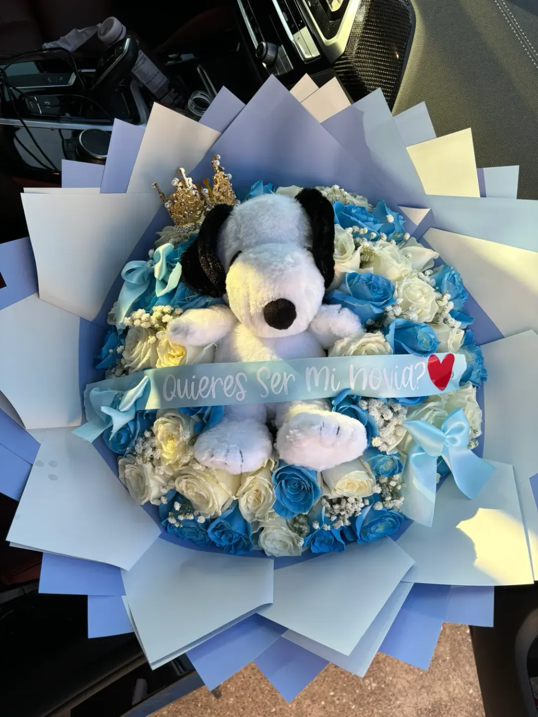 50 Roses Snoopy Bouquet for My Princess