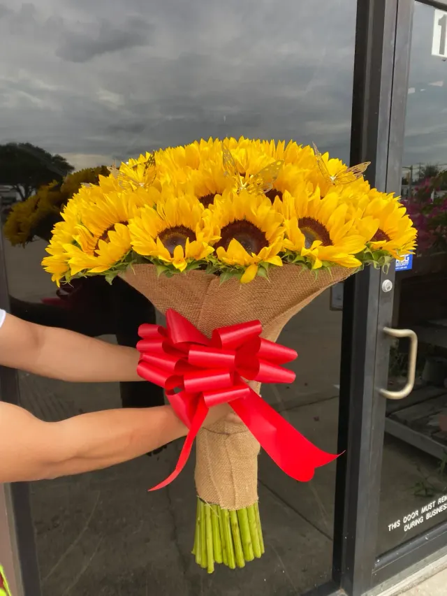 50 Sunflowers, Elegant Stems